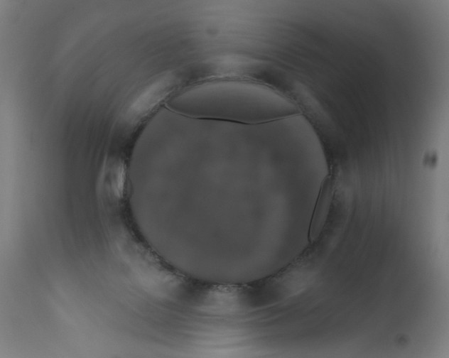 X0000111580076200908271046