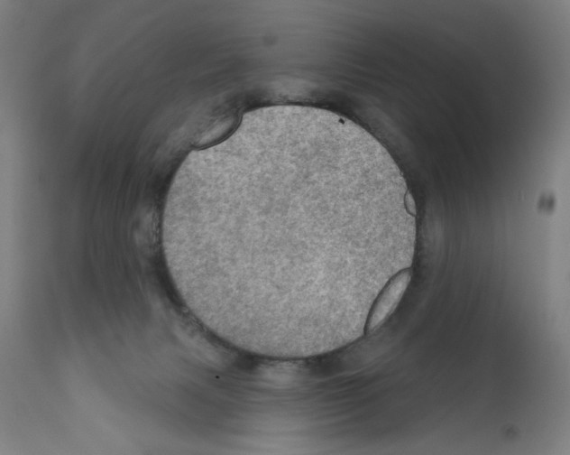 X0000111580079200908271046