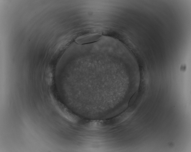 X0000111580080200908271046