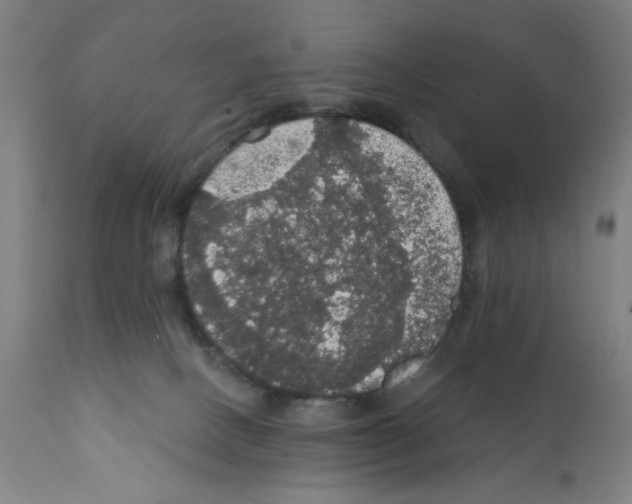 X0000111580082200908271046