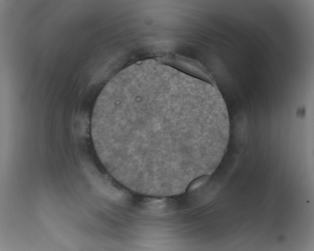 X0000111580083200908271046