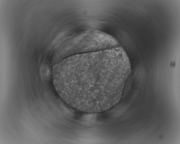 X0000111580084200908271046