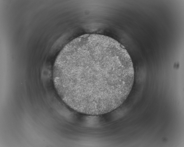 X0000111580085200908271046