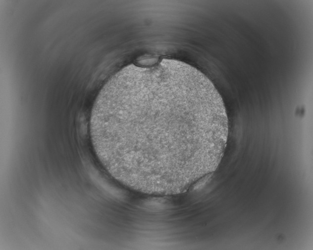 X0000111580086200908271046