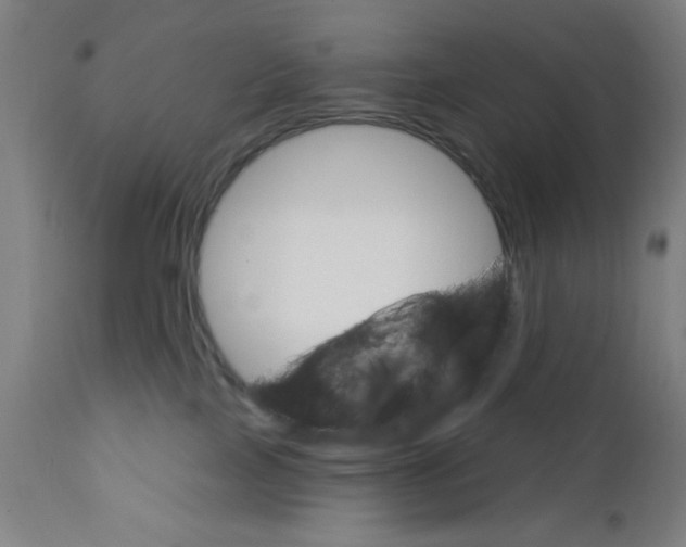 X0000111580089200908271046