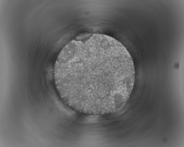 X0000111580090200908271046