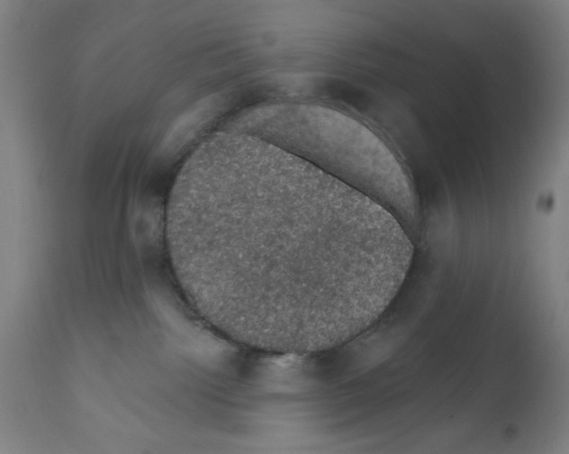 X0000111580092200908271046