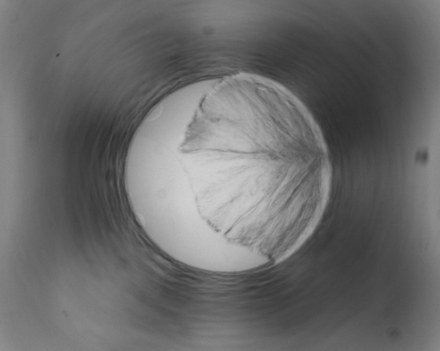 X0000111580093200908271046