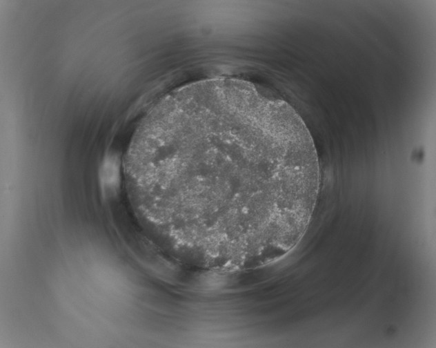 X0000111580094200908271046