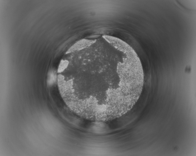 X0000111580095200908271046