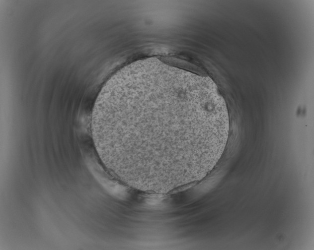 X0000111580096200908271046