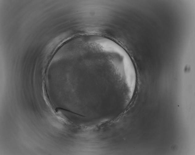 X0000111580097200908271045