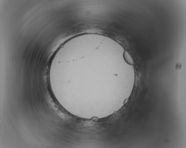 X0000111580098200908271045