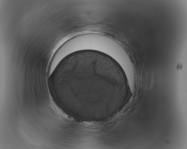 X0000111580100200908271045