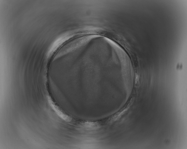 X0000111580101200908271045