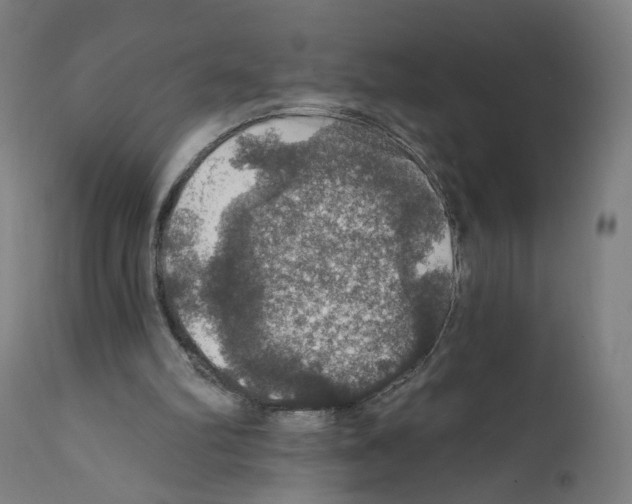 X0000111580102200908271045