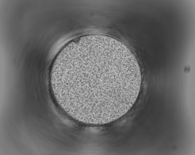 X0000111580103200908271045