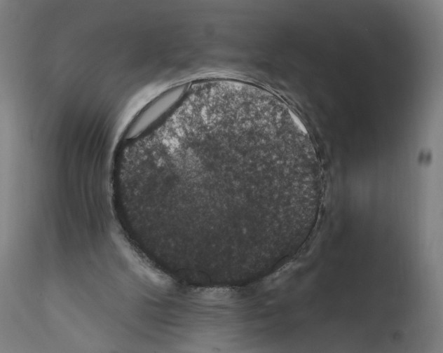 X0000111580104200908271045