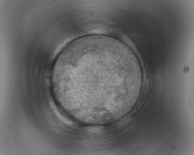 X0000111580106200908271045