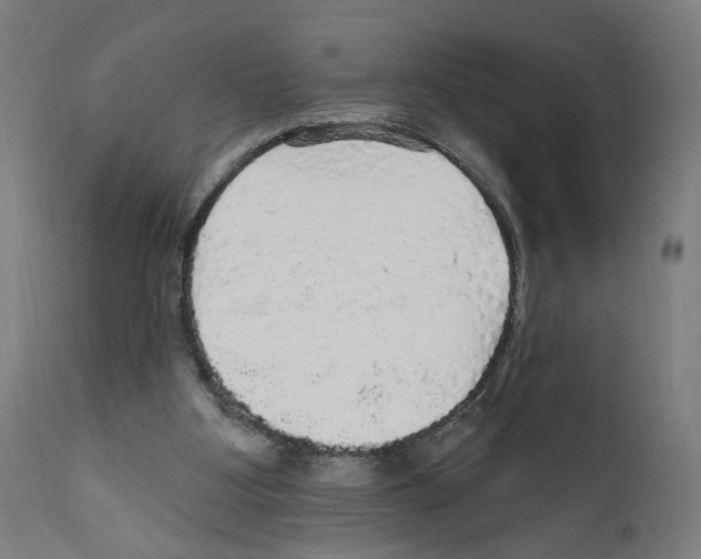 X0000111580107200908271045