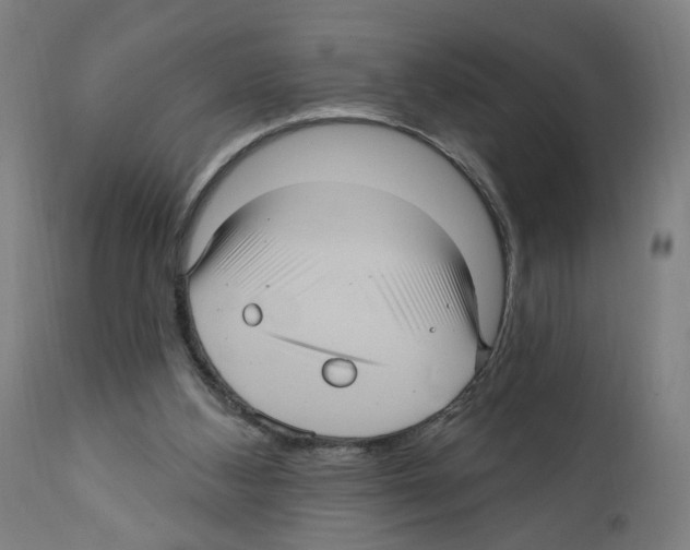 X0000111580108200908271045