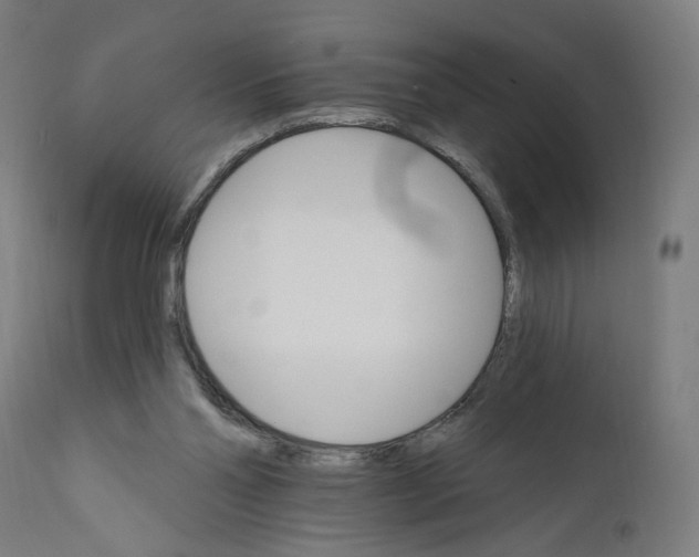 X0000111580110200908271045