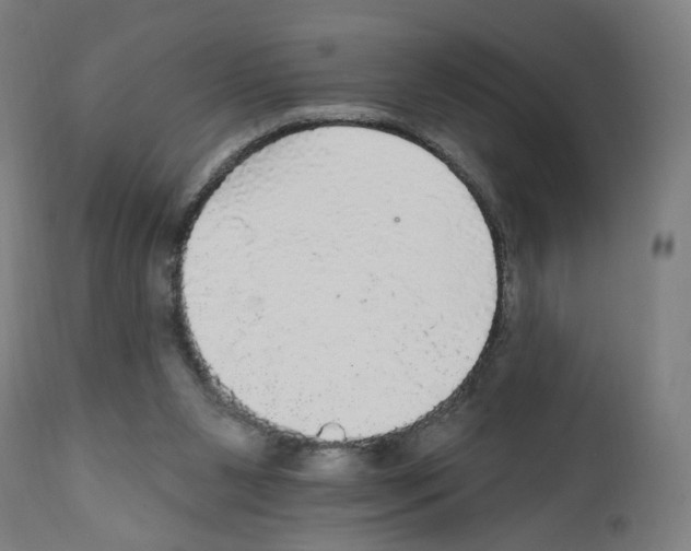 X0000111580111200908271045