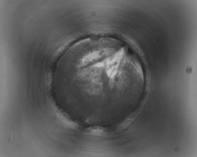 X0000111580113200908271045