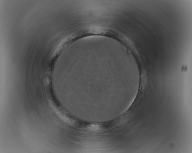 X0000111580114200908271045