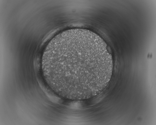 X0000111580116200908271045