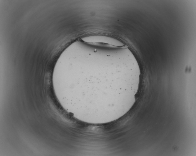 X0000111580117200908271045