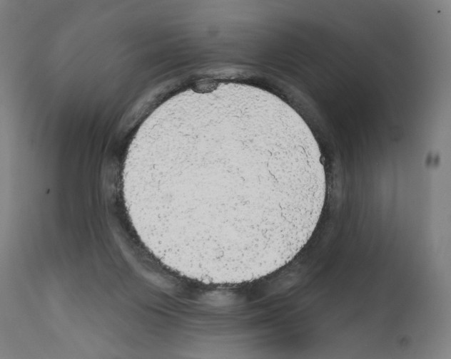 X0000111580119200908271045