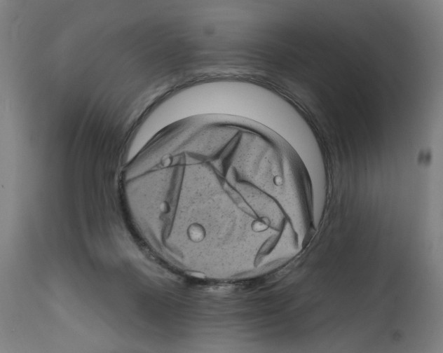 X0000111580120200908271045