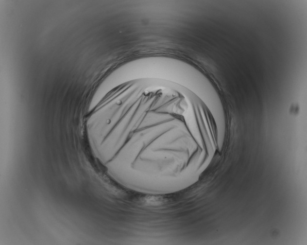 X0000111580121200908271045