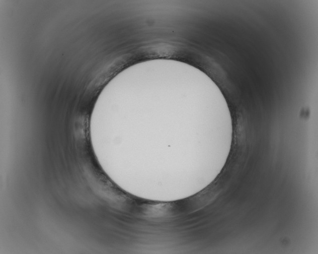 X0000111580122200908271045