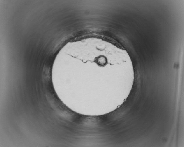 X0000111580123200908271045