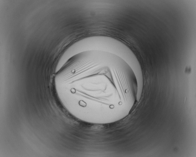 X0000111580124200908271045