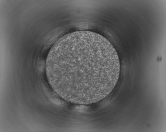 X0000111580125200908271045