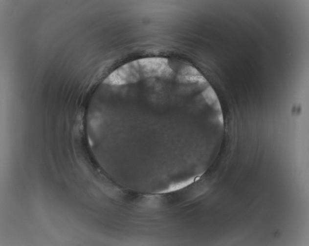 X0000111580127200908271045