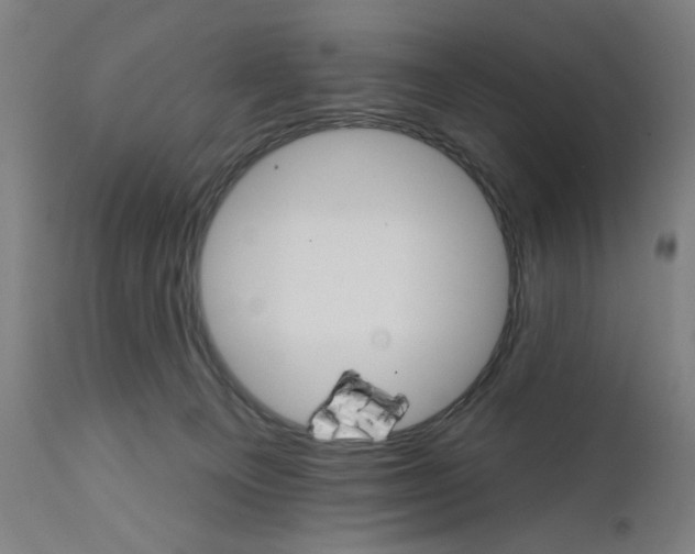 X0000111580129200908271045