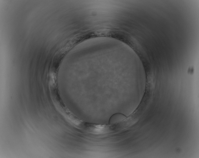 X0000111580130200908271045