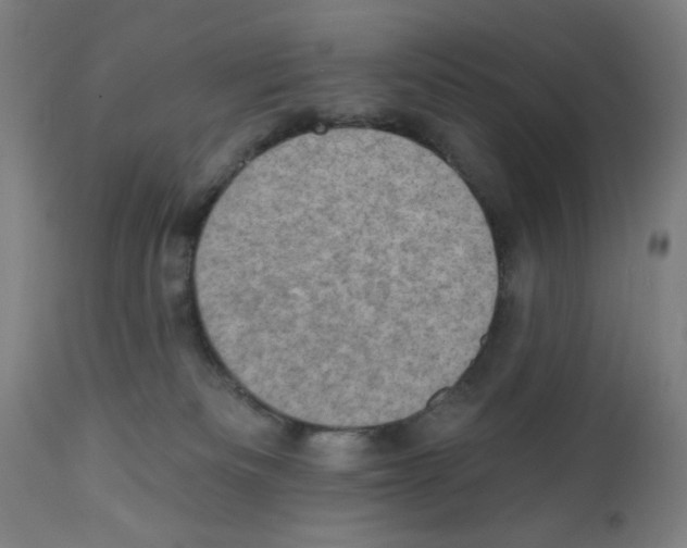 X0000111580133200908271045