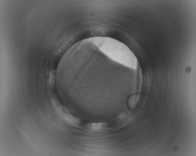 X0000111580134200908271045