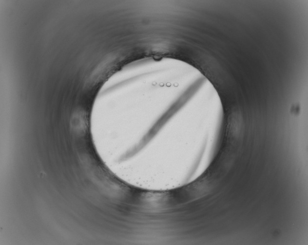 X0000111580135200908271045