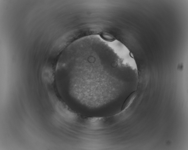 X0000111580136200908271045