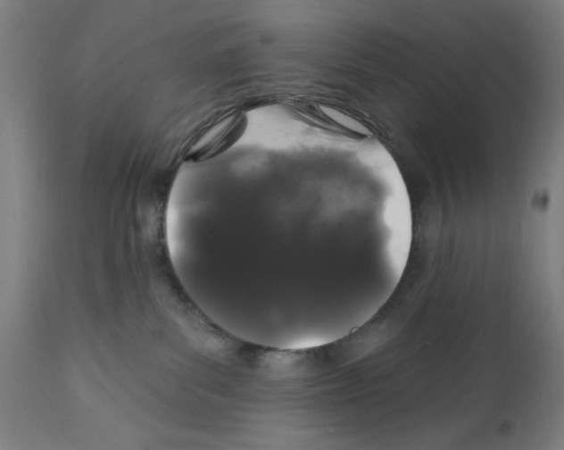 X0000111580139200908271045