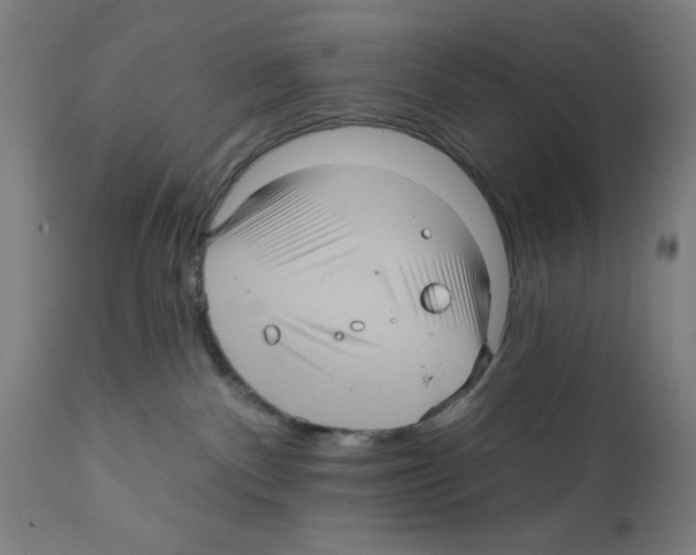 X0000111580140200908271045