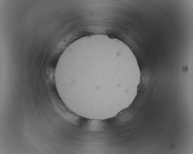 X0000111580141200908271045