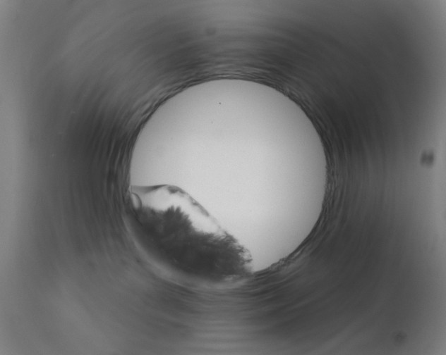 X0000111580143200908271045