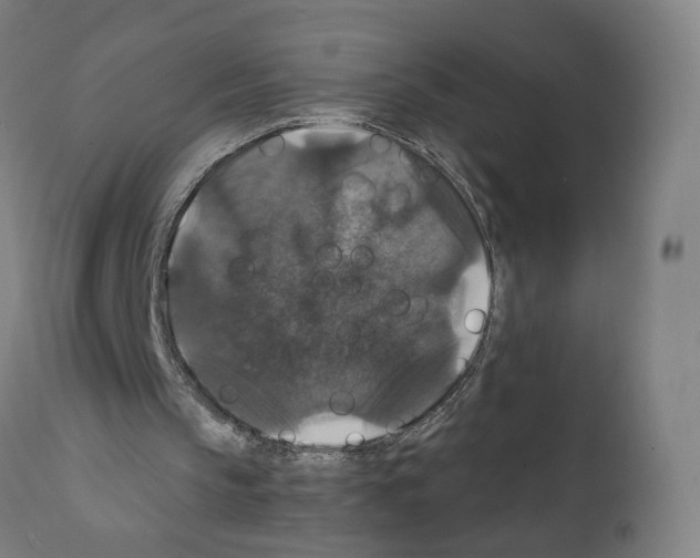 X0000111580145200908271044